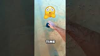 Download lagu He Found Something REALLY COOL!!? 😍🏖️ mp3