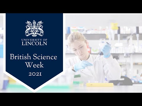 Serious Games for Wellbeing | Danni Threfal, PhD Student