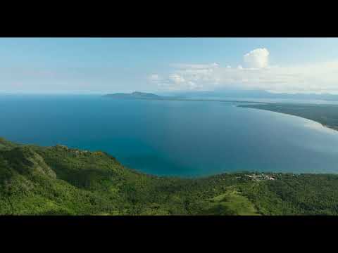 DJ DimixeR, FAVIA - One Of Us Lyrics