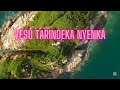 YESU TARINDEKA NYENKA