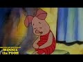 The New Adventures Of Winnie The Pooh S02E01 Me And My Shadow TV Series Episode Review