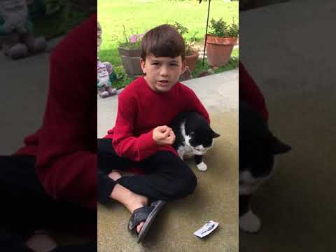 Brayden demonstrates Cheristin flea medicine for cats
