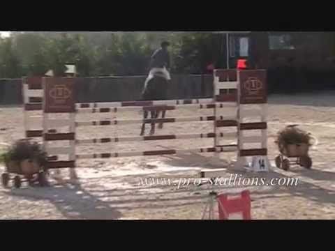 Are You Ready For Some jumping?