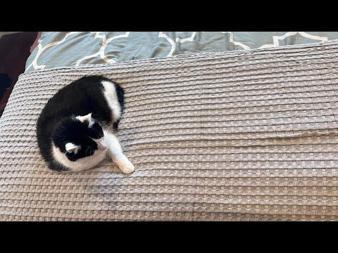 Bedsure cooling bamboo waffle blanket review. #blanket #coolingblanket #sleep