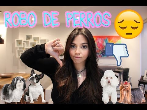 ¡Robo de perros! Cuidado.