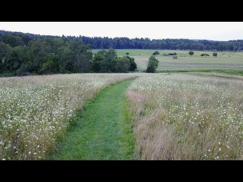 Droning Dexter Drumlin