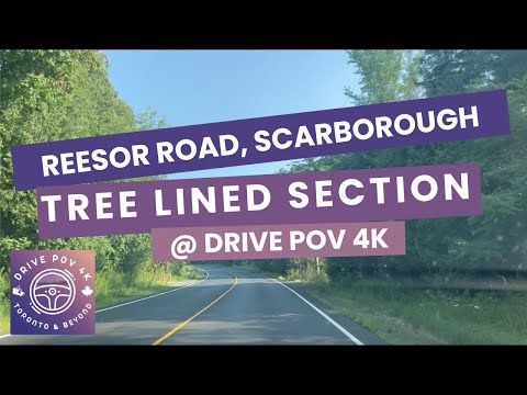Sunny Summer Drive 4K POV | 14th Ave → Reesor → Toronto Zoo → Sheppard & Lawrence | No Traffic