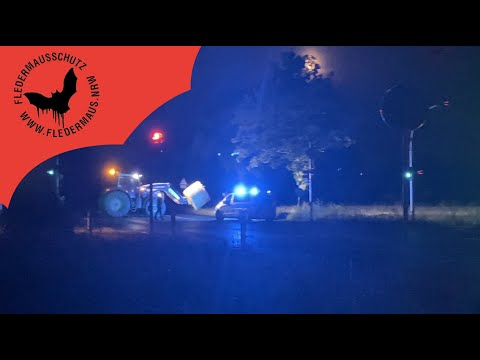 Fledermaus NRW - Behind the Scenes