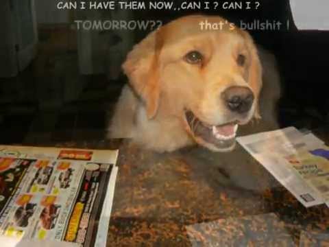 Molly's Day at the Spa