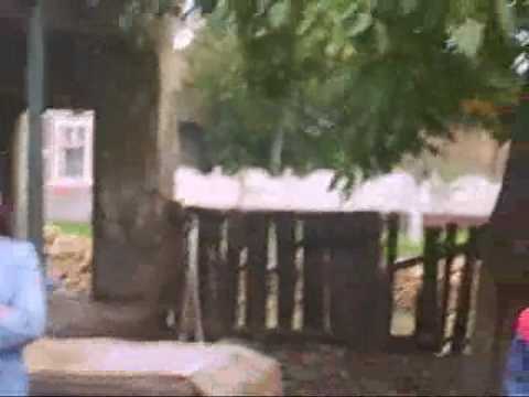 Sub cerul liber - No roof over their head