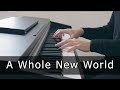 Aladdin - A Whole New World (Piano Cover by Riyandi Kusuma)
