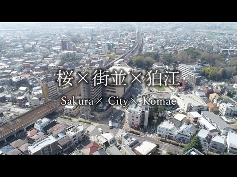 狛江市PR動画「Sakura × City × Komae」　cherry blossoms in Komae,Tokyo,Japan