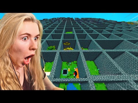 Minecraft, aber die WELT ist ein LABYRINTH!