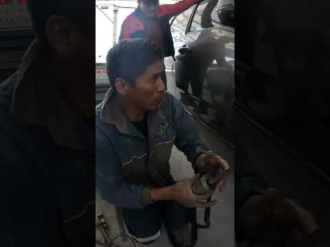 TIPS de como cotizamos