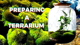 Preparing a Terrarium|| Gardening tips|| #terraria #gardening #creativity #terrarium #gardentips