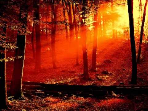 Paris FZ  Simo T - Soha Original Mix