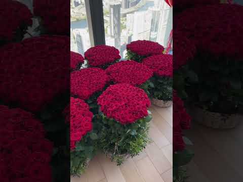 3 ноября 2024 г.