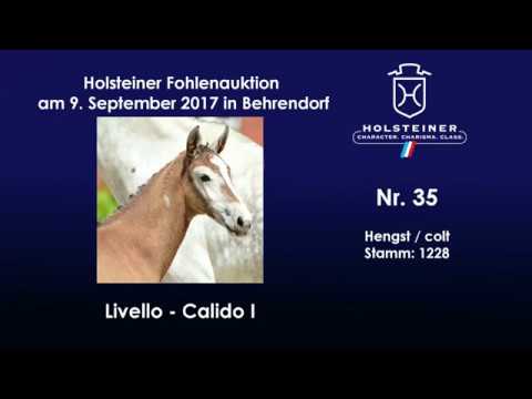 Nr. 35 v. Livello - Calido I