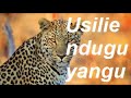 USILIE NDUGU YANGU