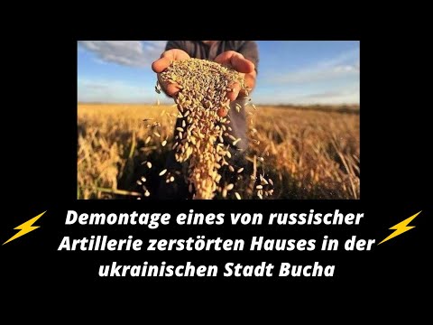 Russische Besatzer Eindringlinge nehmen in der Ukraine über Mariupol gestohlenes Getreide heraus