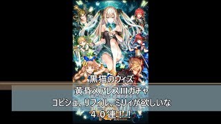 黒猫のウィズ コピシュ ミリィが欲しい 黄昏メアレス L確定無料10連ガチャを引いてみました 実況 تنزيل الموسيقى Mp3 مجانا