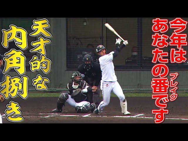 バファローズ・太田椋『天才的な内角打ち』でスタンドイン