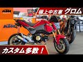 ホンダ グロム モリワキマフラー!フェンダーレス!スクリーン!装着済み!とても綺麗です!JC75!