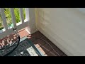 Yellow Jackets Found Under Window in Oceanport, NJ