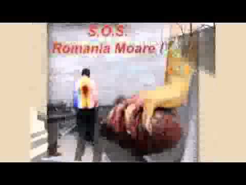 Adrian Paunescu, Octavian Bud - Cântec pentru Libertate