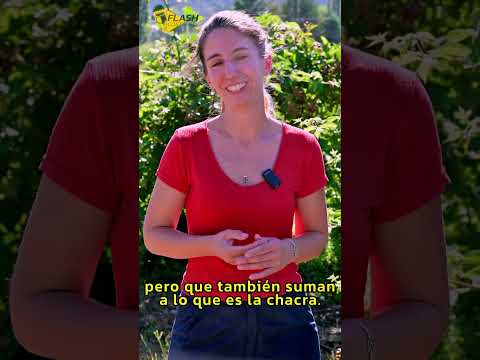 Chacra Los Cerros. Producción amorosa y agroecológica, El Hoyo Chubut