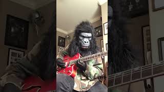 Ted Nugent: Stranglehold      #guitar #music