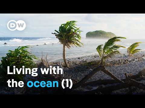 Treasure islands in the Pacific - From Hawaii to the Cook Islands (1/2) | DW Documentary