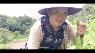 Download lagu Da dej mp3