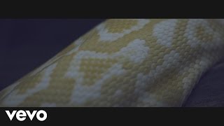 Mountain Bird - The Visitor