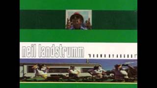 Neil Landstrumm - Peer Inpressions