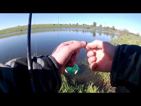 Ловля карася на удочку с берега