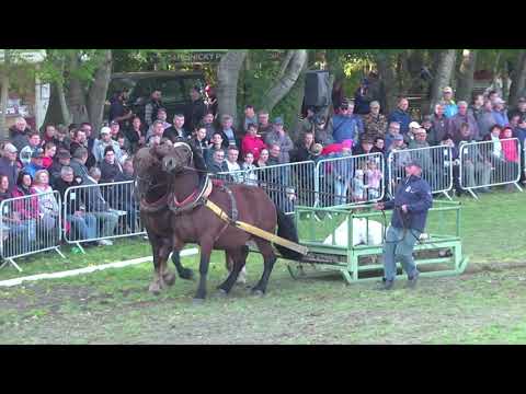 Těžký tah dvojspřeží: MČR chladnokrevných koní, Tlumačov – 3. 10. 2021