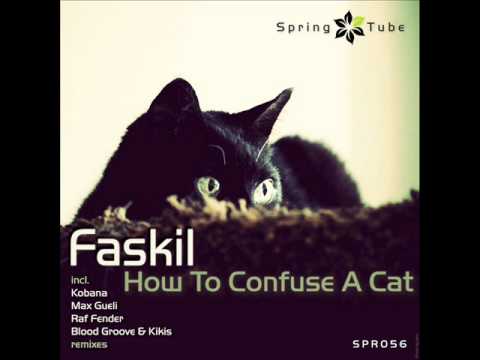 Faskil - How To Confuse A Cat (Blood Groove & Kikis Remix) - Spring Tube