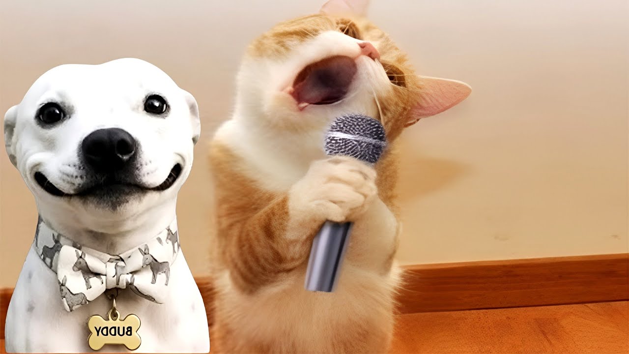 Funniest Dogs and Cats Videos 2026😻🐶Hilarious Animals Moments🤣😅