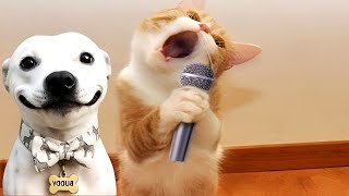 Funniest Dogs and Cats Videos 2026😻🐶Hilarious Animals Moments🤣😅 MQDEFAULT Thumbnail