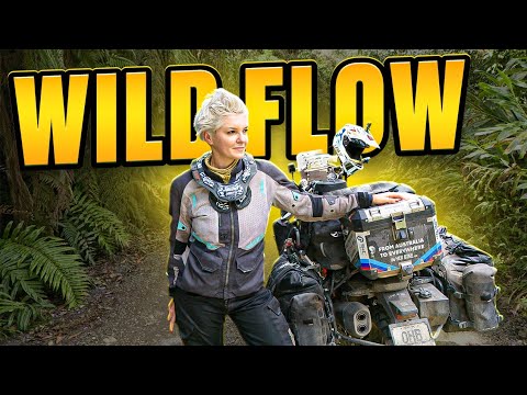 From Sweating in the Heat to Shivering in the Cold | Colombian Motorcycle Adventure - EP.403