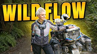 From Sweating in the Heat to Shivering in the Cold | Colombian Motorcycle Adventure - EP.403