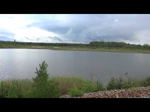 Lauta/Elsterheide: Sanierungspläne für Erikasee und Kortitzmühler See - LAUSITZWELLE