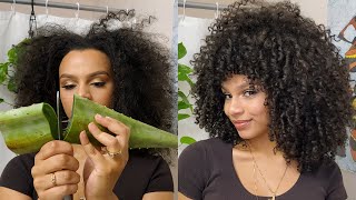 Aloe Vera Wash Day Routine for Extreme Hair Growth