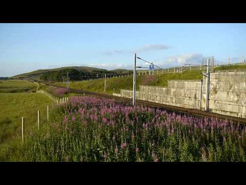 86632 & 86638, 4L81 Coatbridge   London Gateway, Wandel, 22:07:2014