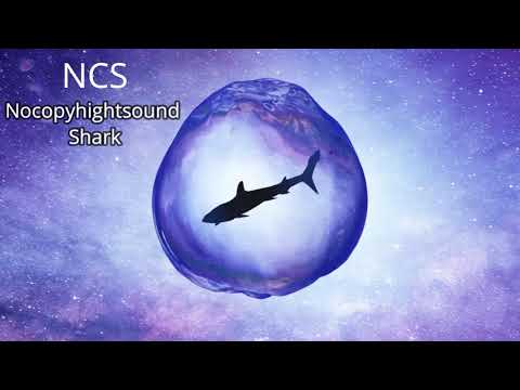 HOLLY - AXOL - I NEED YOU | NCS Nocopyhightsound Shark