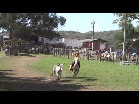 Bocal de ouro da Bela Aliança - Marcio Isidoro
