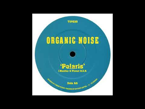 Organic Noise - Polaris