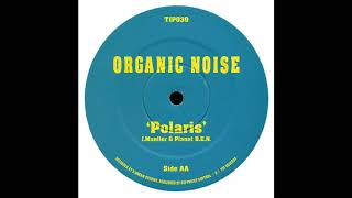 Organic Noise - Polaris