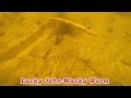 Посмотреть видео обзор Видео обзор